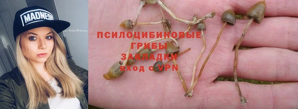 твердый Лагань