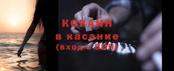 твердый Лагань