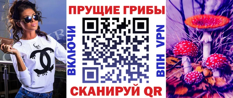Псилоцибиновые грибы GOLDEN TEACHER  сайты даркнета наркотические препараты  Шатура 