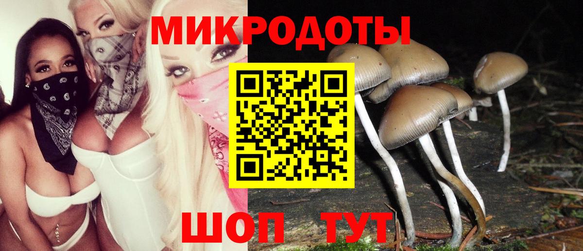 Псилоцибиновые грибы прущие грибы Шатура